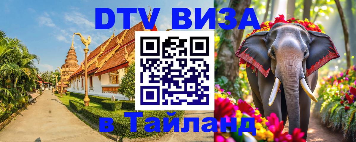 Оформление DTV визы под ключ: стоимость и тарифы, только загранпаспорт - 05.10.2025 